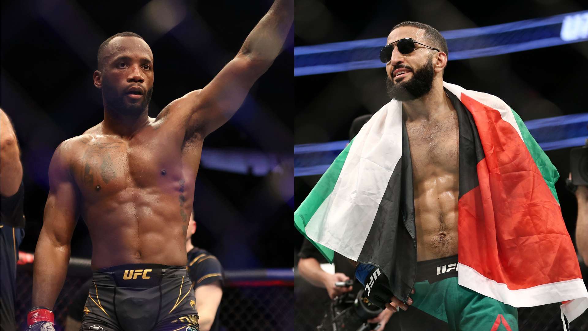 不僅重振球 不僅重振球