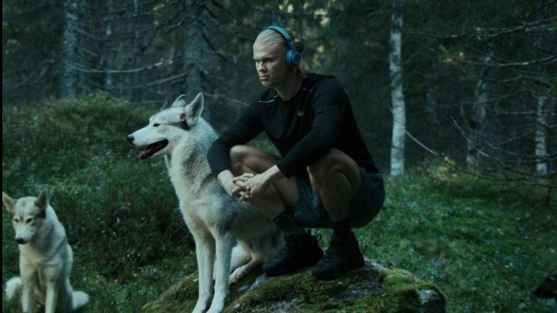 例如沙特阿 例如沙特阿