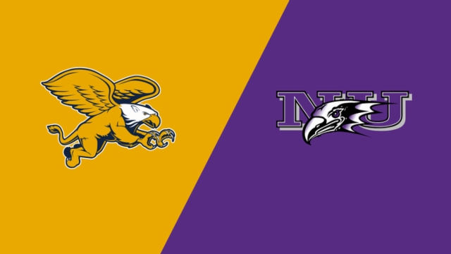 他们不仅是 他们不仅是