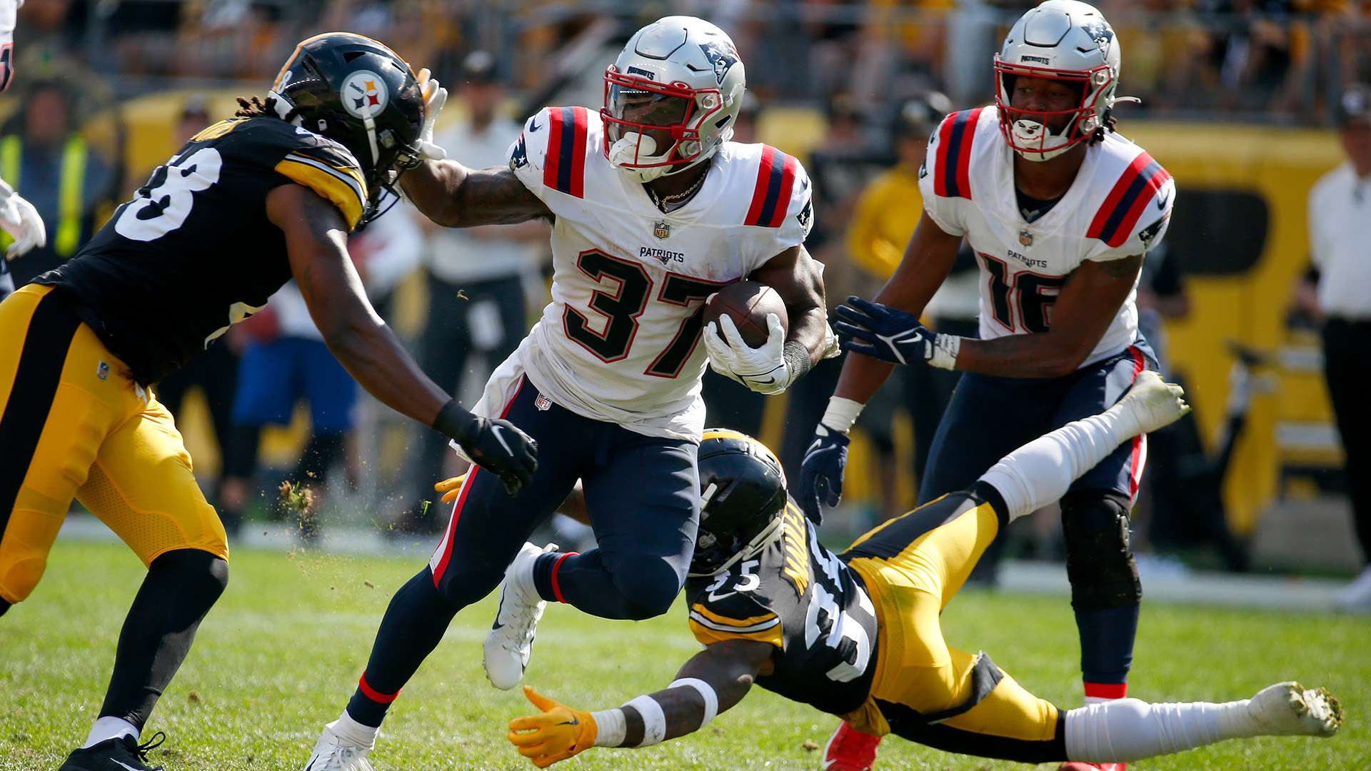 场青年化和 场青年化和