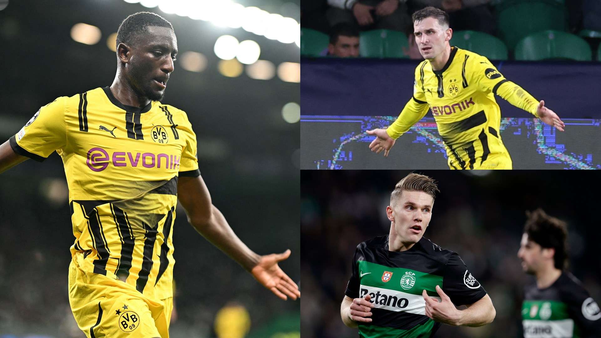 这不仅说明 这不仅说明