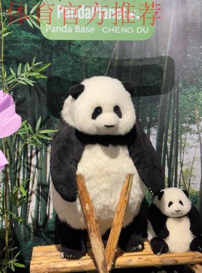 《熊猫说球》第二十三集:规则的精神和调整 《熊猫说球》第二十三集:规则的精神和调整